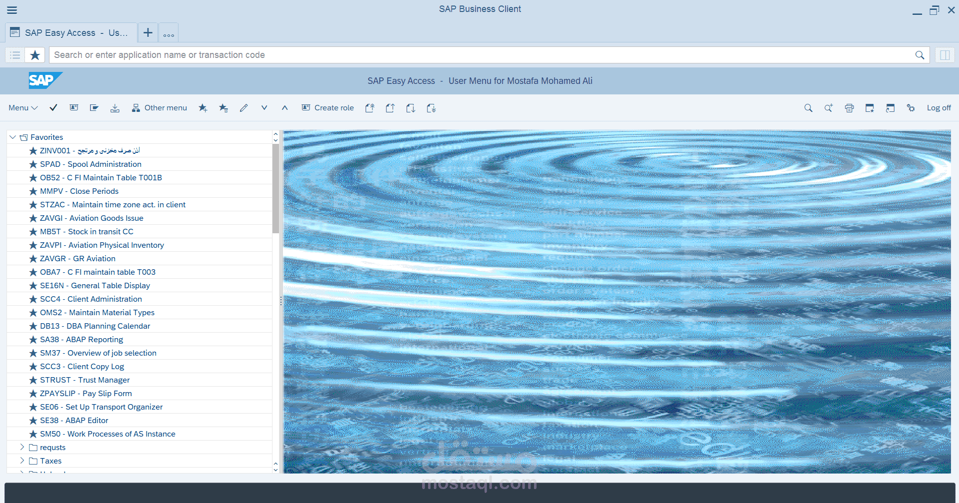 SAP Basis