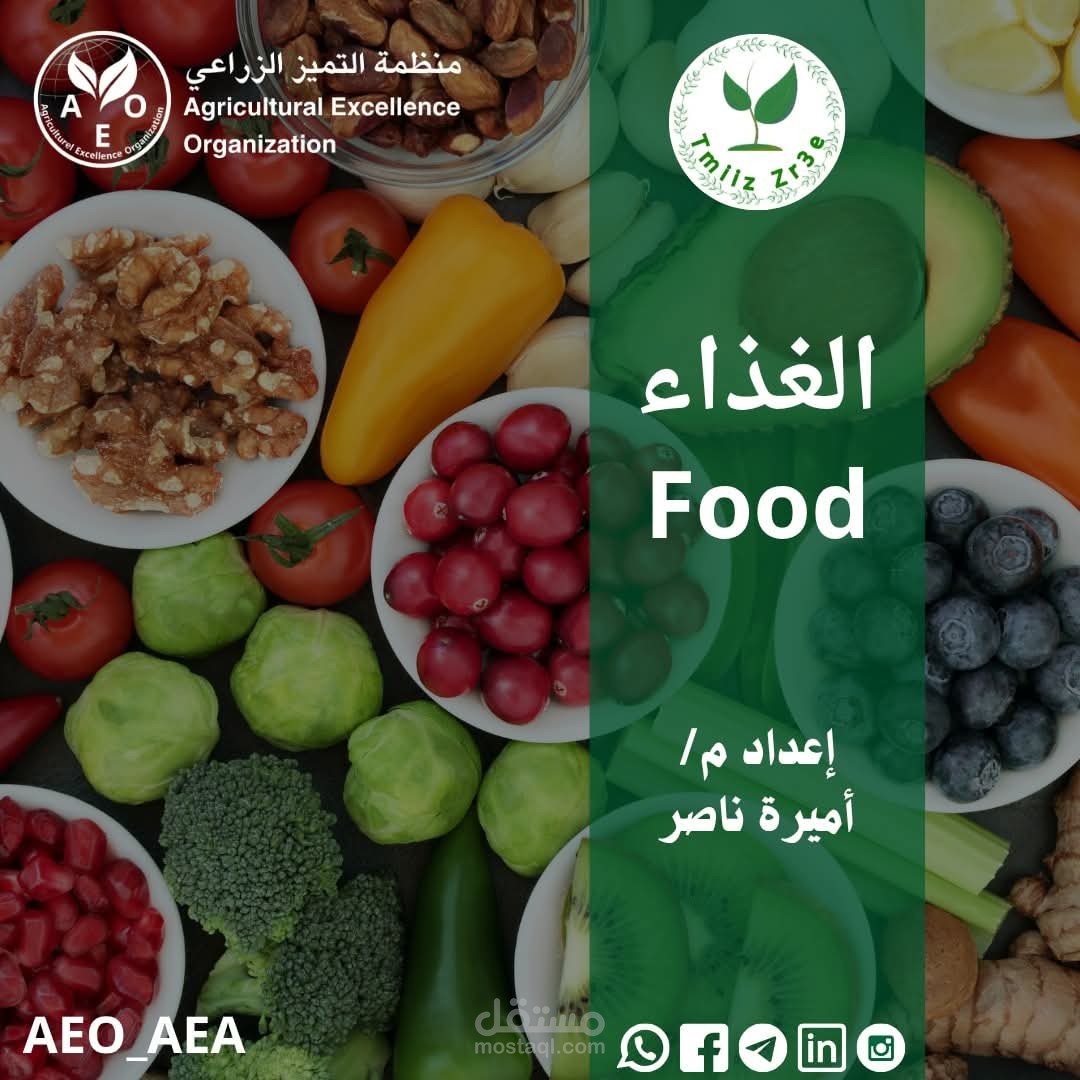 مقاله عن الغذاء