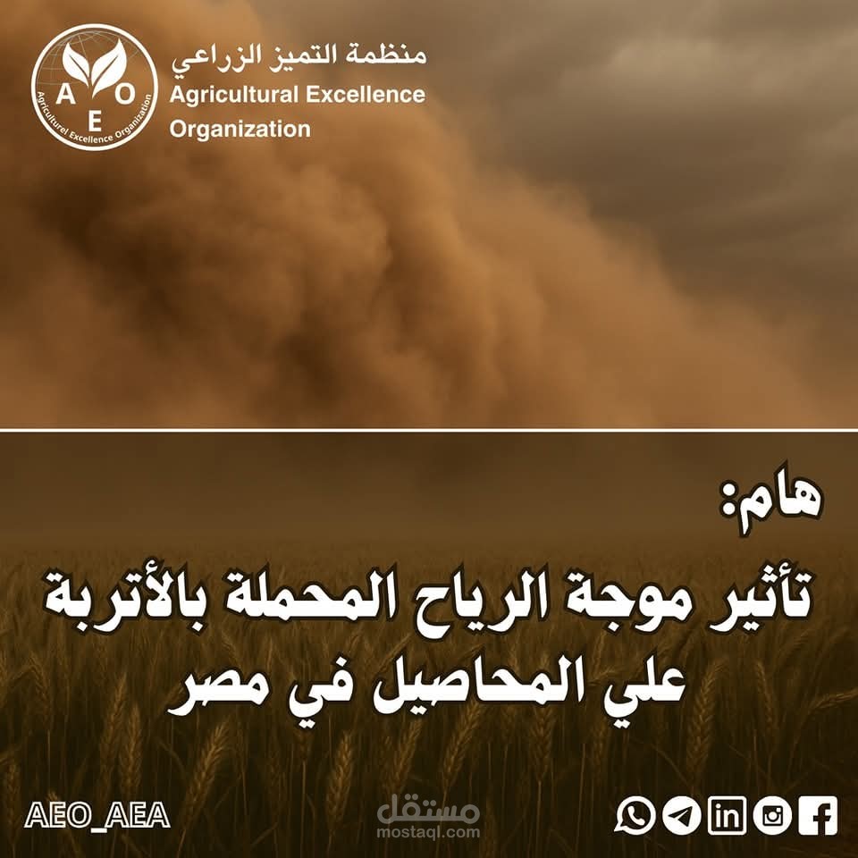 مقاله عن تأثير الرياح المحمله بلأتربه على المحاصيل في مصر