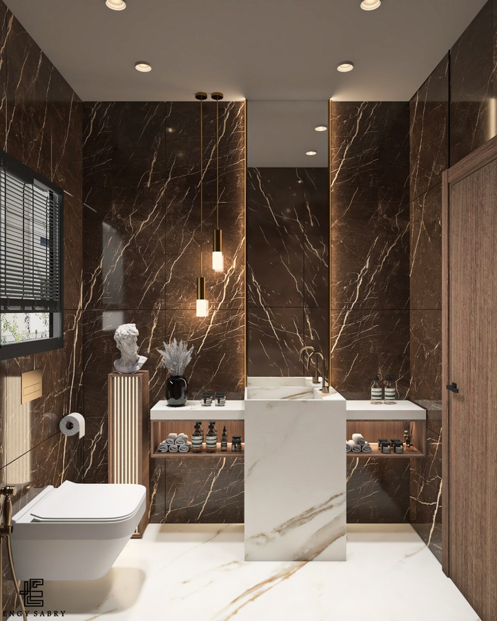luxury guest toilet