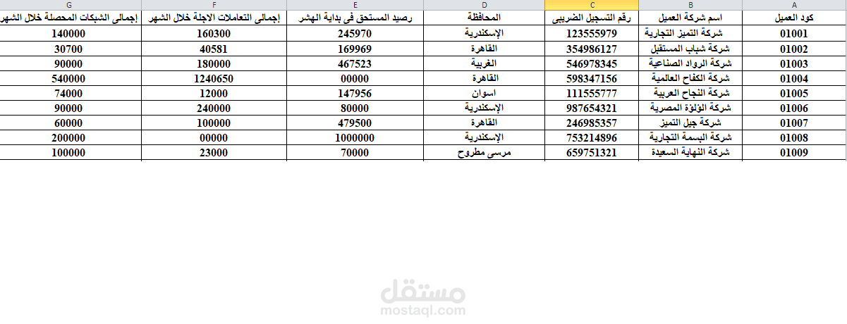 إدخال بيانات محاسبية على Excel لمكتب محاسبة