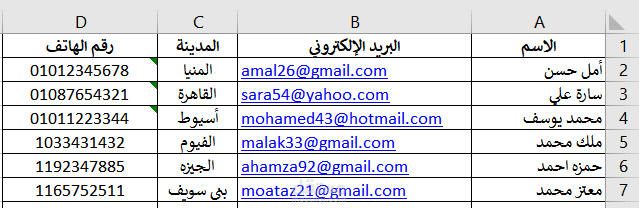 إدخال بيانات في ملف Excel منظم