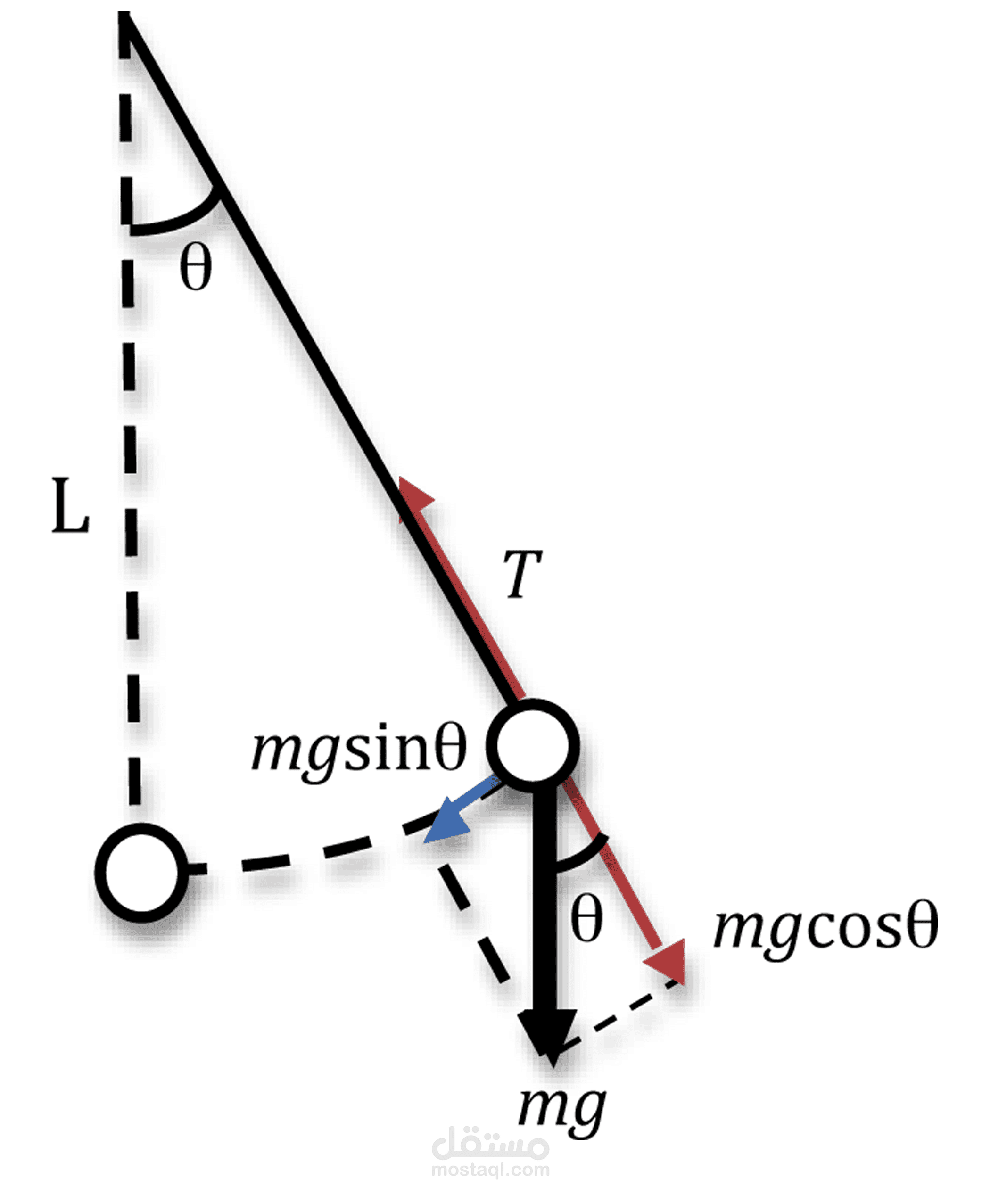 Simple Harmonic Motion Simple Pendulum