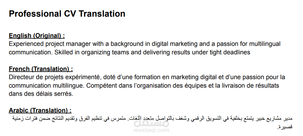 Professional CV Translation