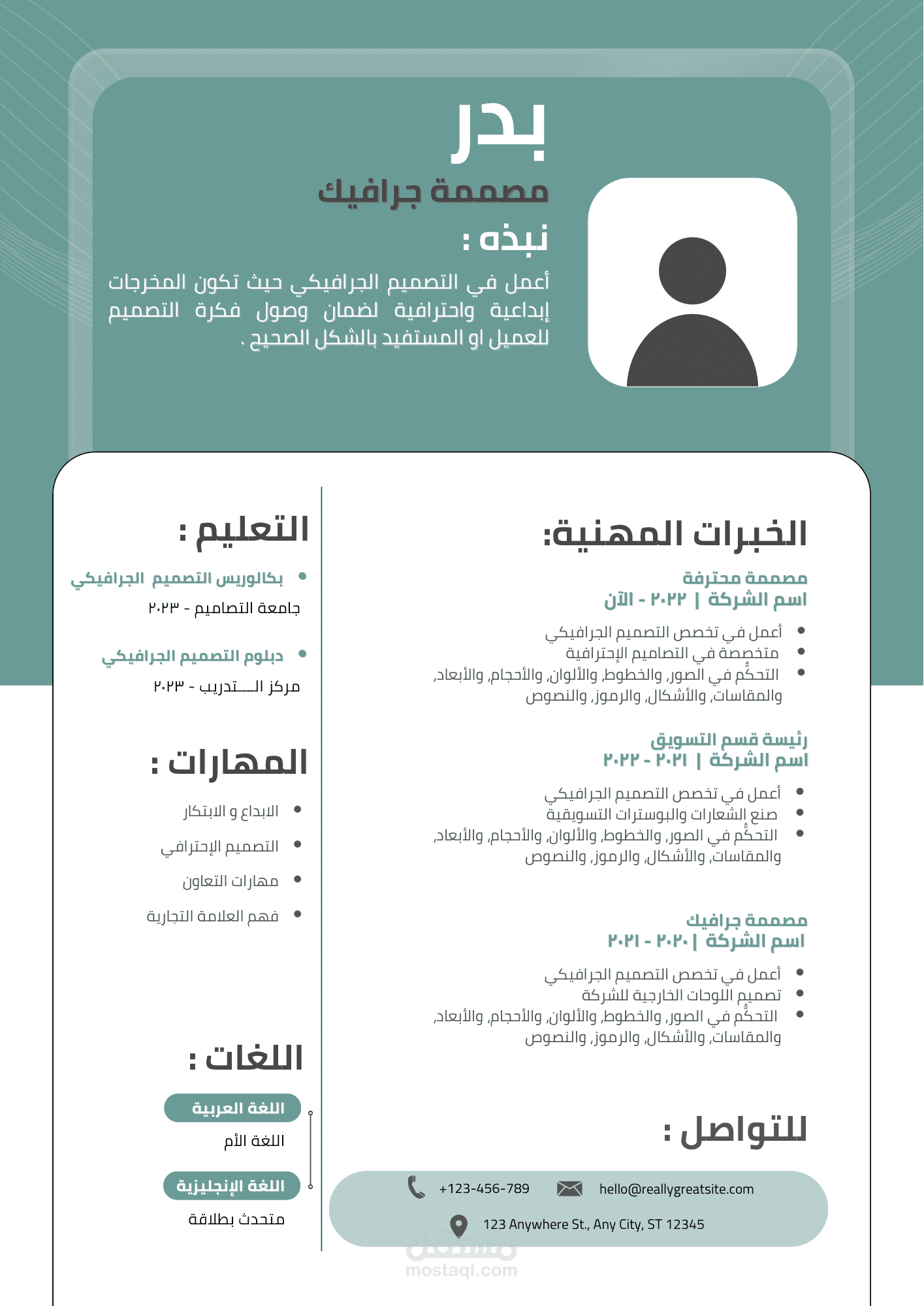 قالب سيرة ذاتية احترافية