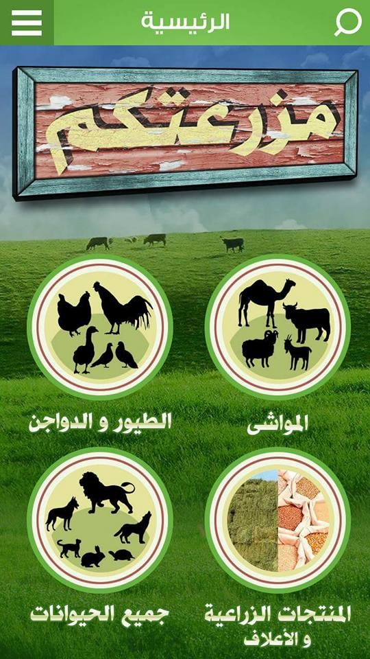 تصاميم واجهات تطبيق موبايل سعودى يدعى (مزرعتكم) لبيع الحيوانات الأليفة مثل الأبقار و الماعز .... إلخ حيث يقوم بالربط بين البائع و المشترى