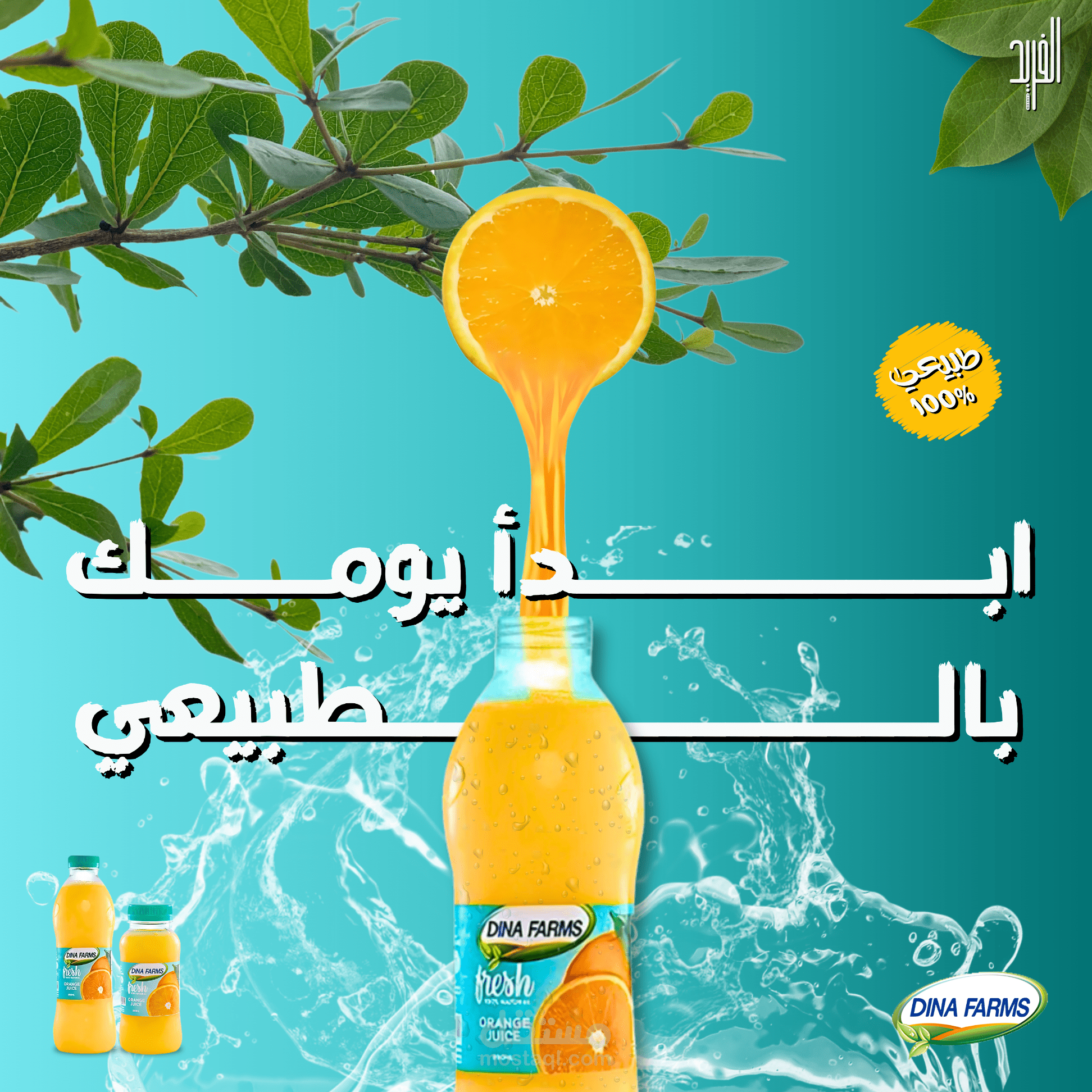 إعادة تصميم لإعلان لمزارع دينا