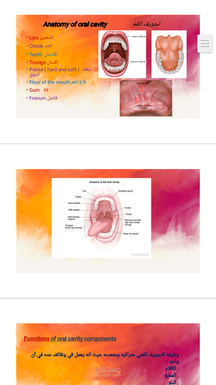 research of oral anatomy