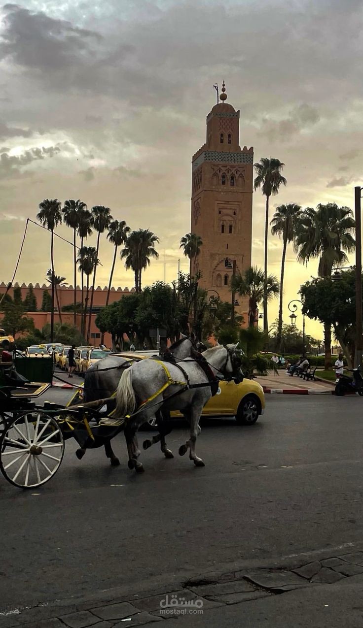 المغرب..حيث يتحدث التاريخ بحضارة