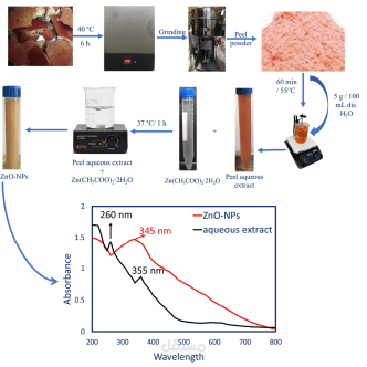 Green Synthesis of Zinc Oxide Nanoparticles Using an Aqueous Extract of Punica granatum for Antimicrobial and Catalytic Activity