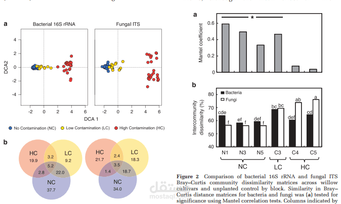 Linkage between bacterial and fungal rhizosphere communities in hydrocarbon-contaminated soils is related to plant phylogeny