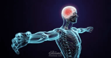 سكريبت: أسرار غريبة عن جسم الإنسان