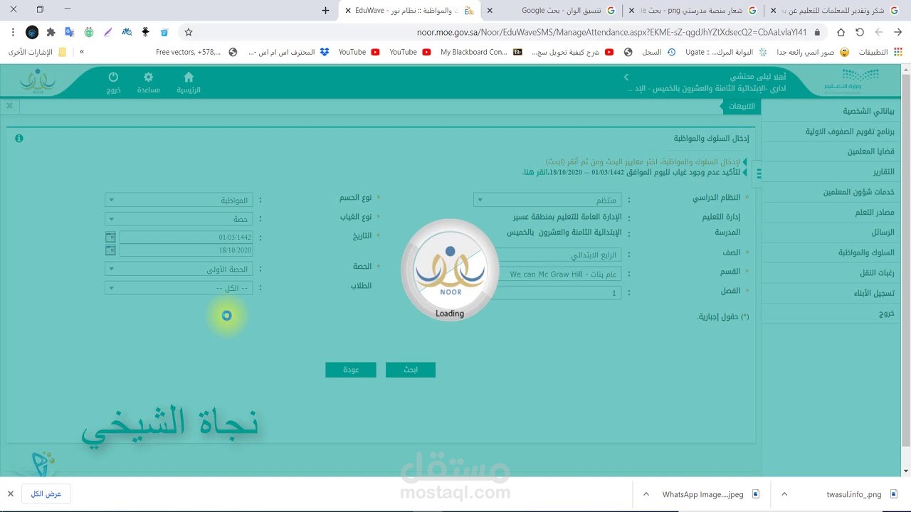 نظام نور