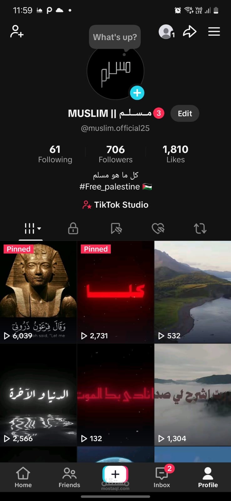 تصميم فيديوهات تيكتوك