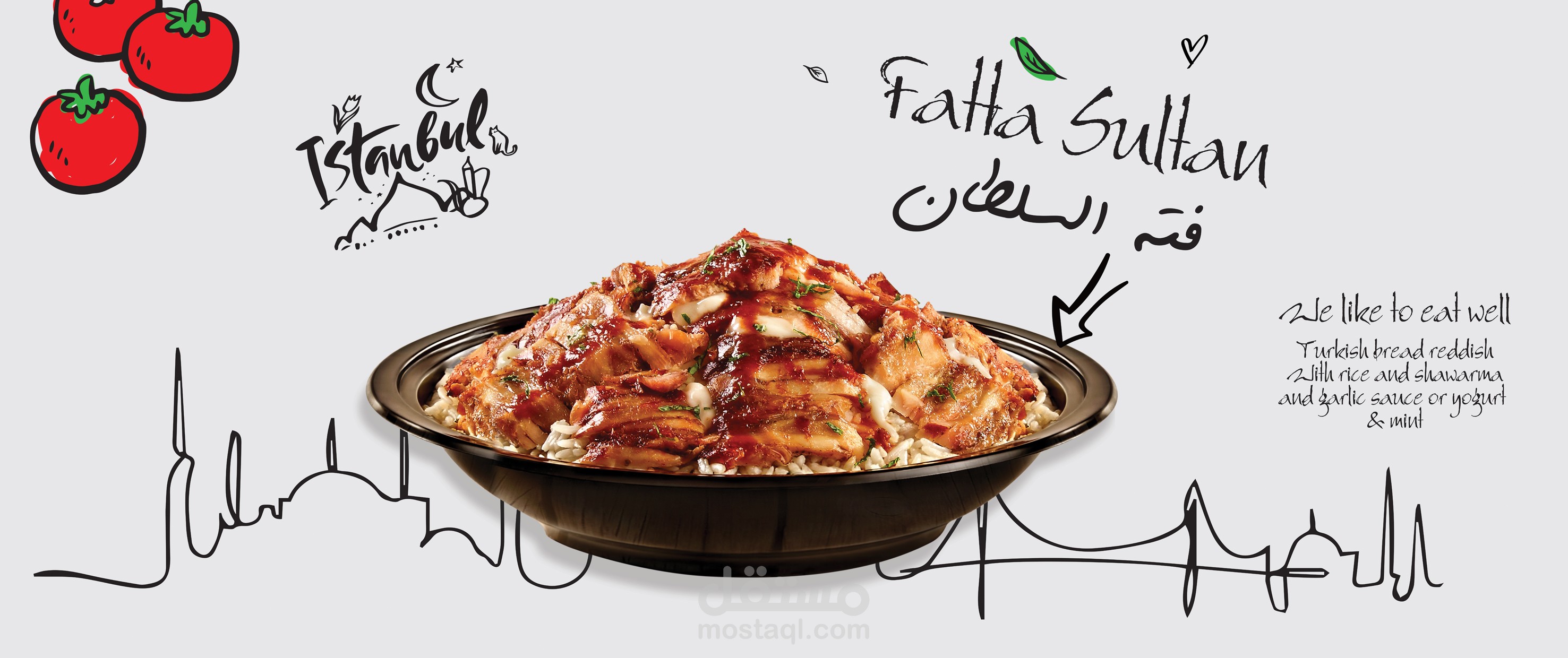 السلطان ايوب