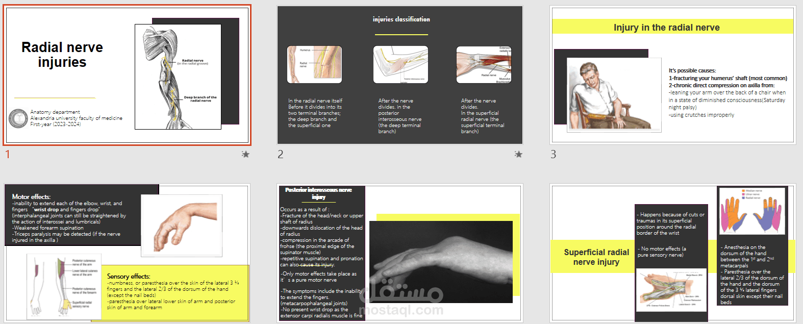 Radial nerve injuries ppt