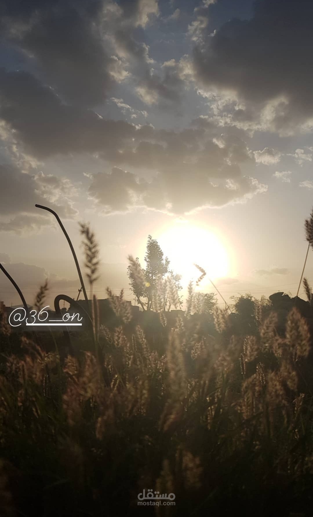 تصوير احترافي لمنتجات / مناسبات / مشاهد خارجية