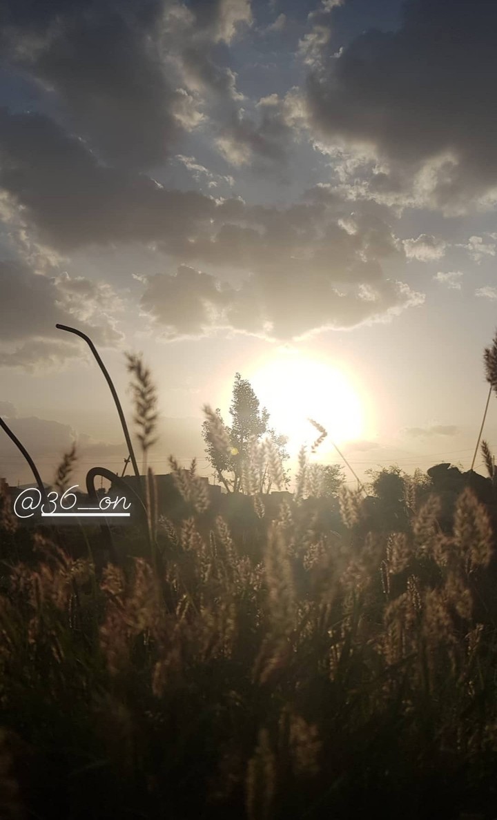 تصوير احترافي لمنتجات / مناسبات / مشاهد خارجية
