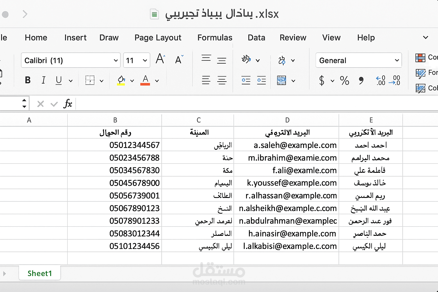 مثال لإدخال بيانات وتنسيقها في Excel