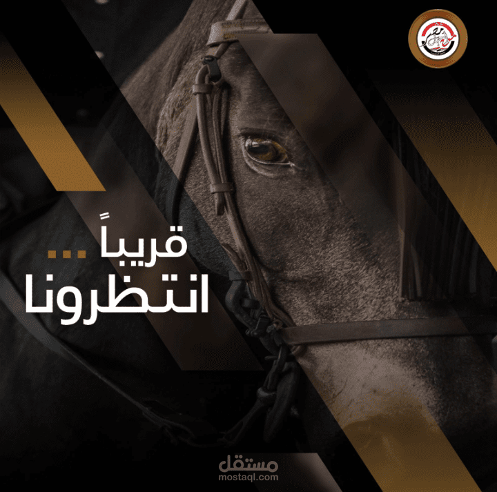 بوست تشويقي احترافي يثير فضول الجمهور