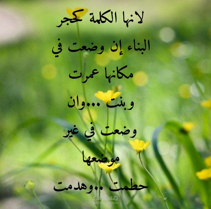 سخف بعين وقحة