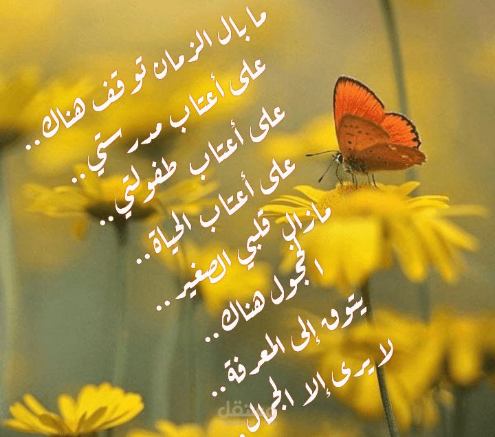 شوق وحنين