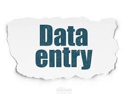 مدخل بيانات دقيق ومنظم
