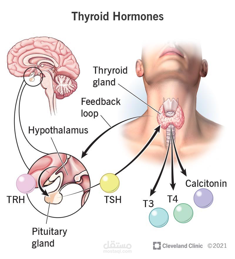 Thyroiditis Lecture
