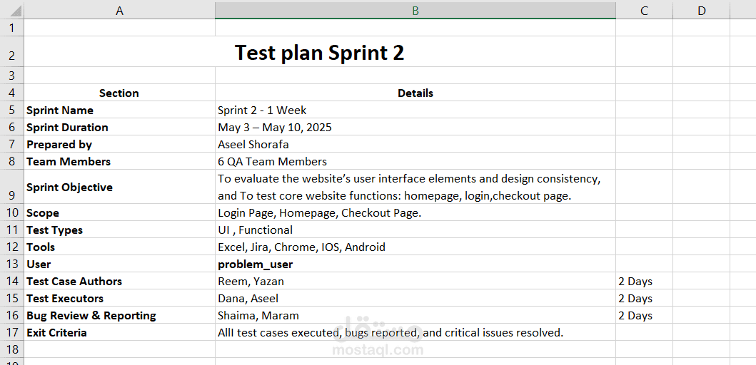 Preparation of a Comprehensive Test Plan Document