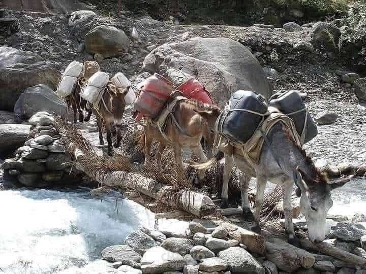 قصة قصيرة