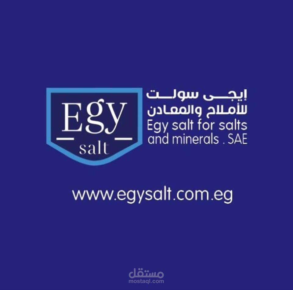 موقع إلكتروني لشركة تصنيع الملح – Egy Salt