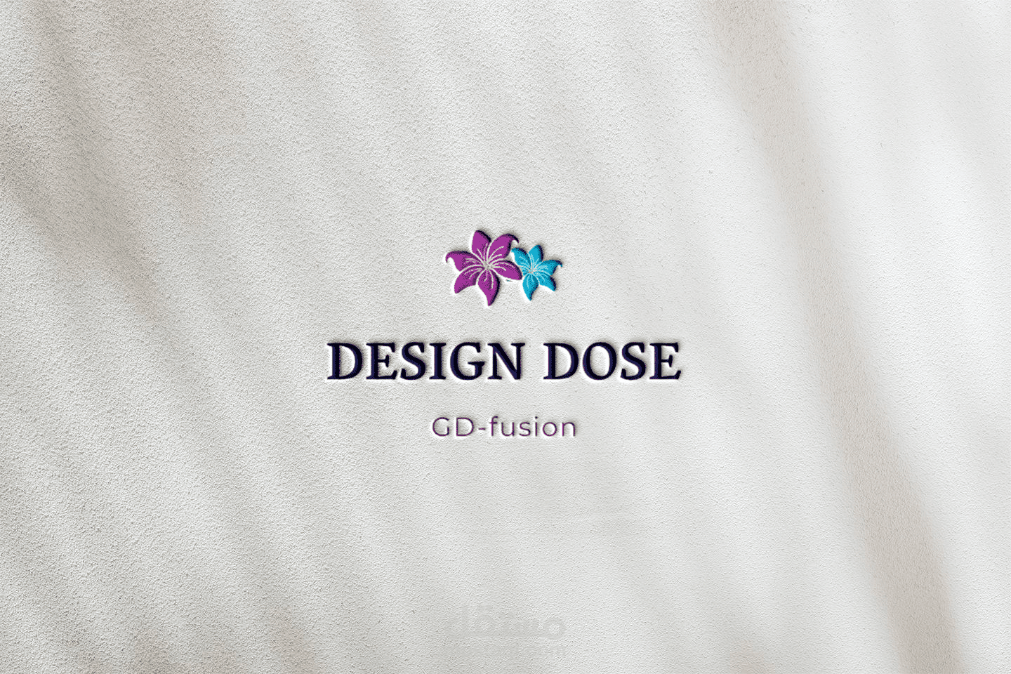 Logo for insta bage
