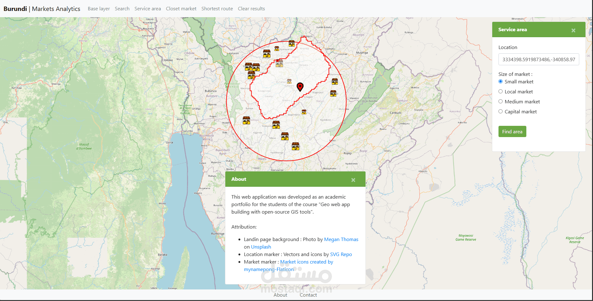 Geo Web Application for Market Analytics