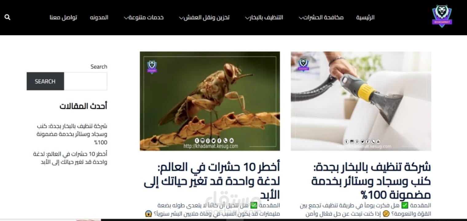 تصميم موقع ووردبريس , وكتابة محتوي متوافق مع SEO