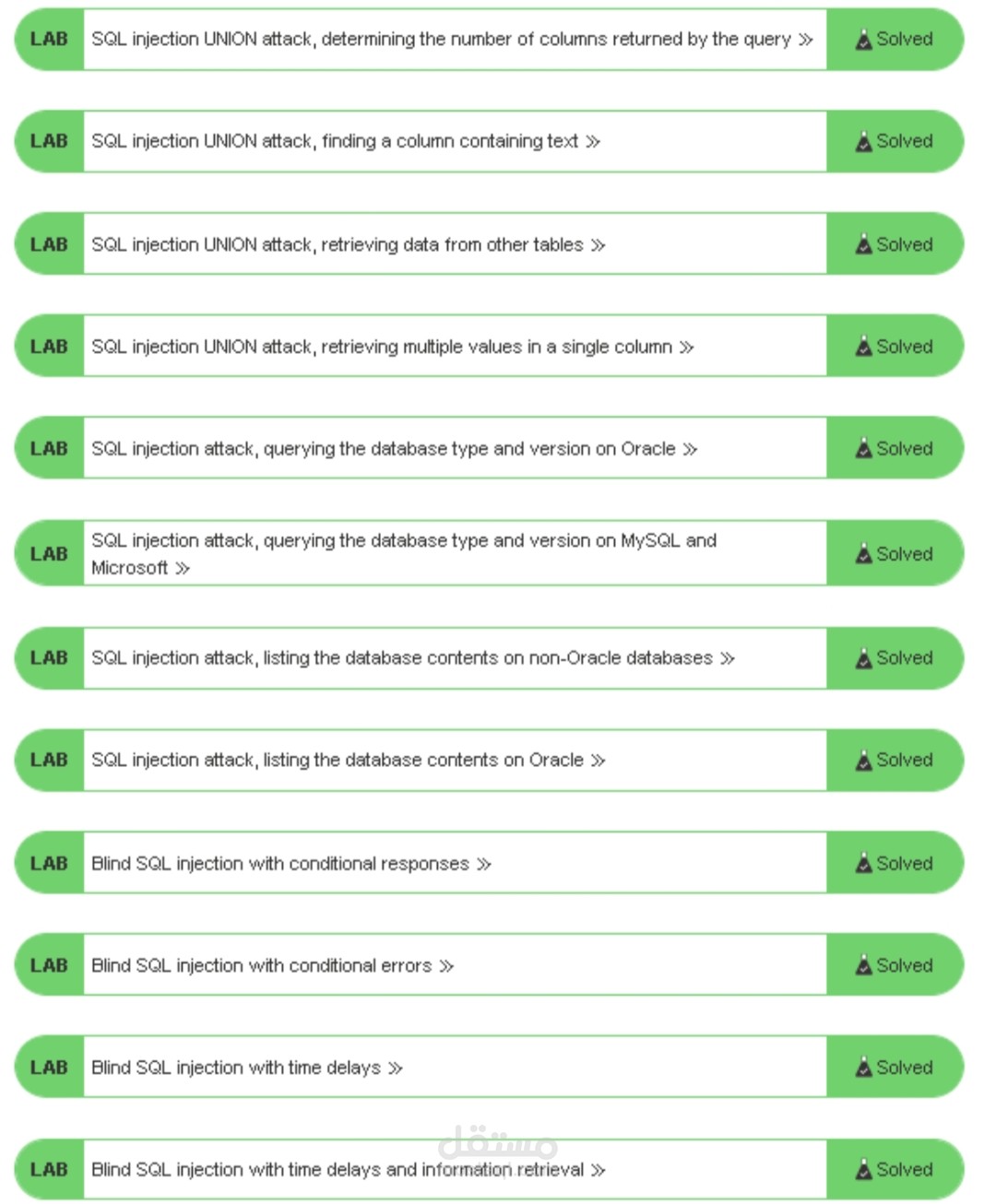 Practical SQL Injection Testing using Burp Suite Labs