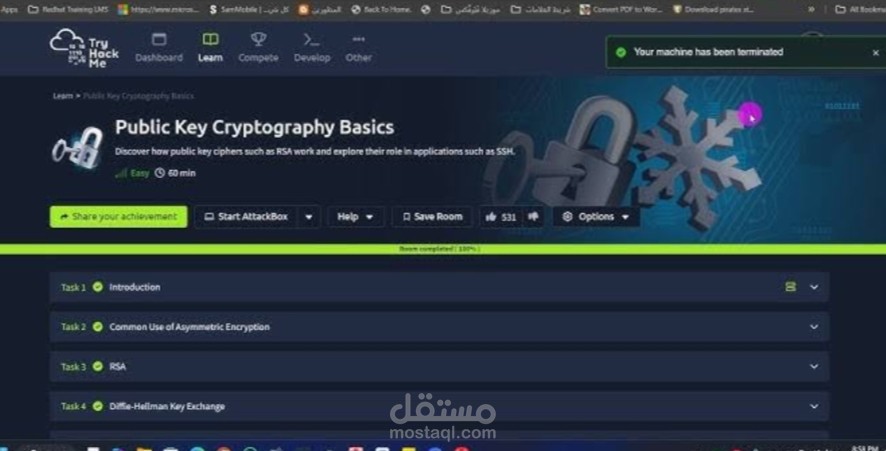 Cybersecurity Trainee & TryHackMe Labs Completer