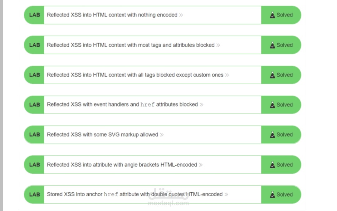 Cross site script Testing using Burp Suite Labs