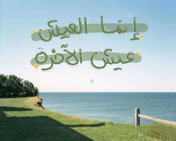 تصميم وترجمة