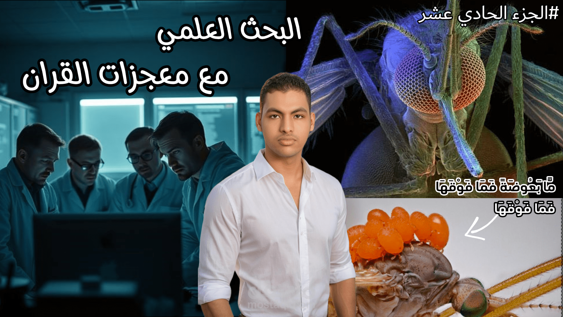 تصميم فديوهات