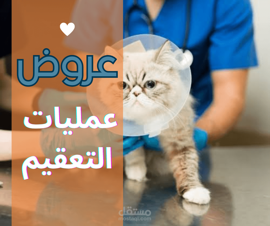 تصميم سوشيال ميديا