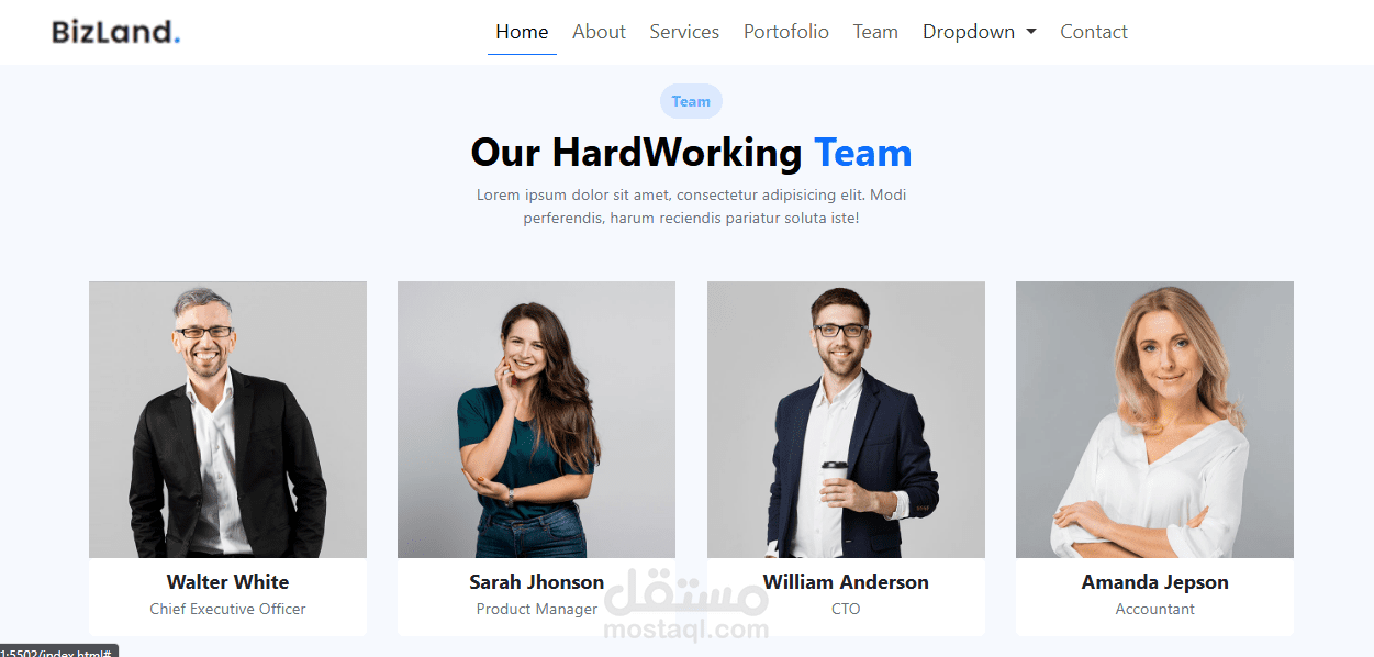 تصميم متجاوب لصفحة هبوط لشركة استضافة مواقع انترنت -  Bizland