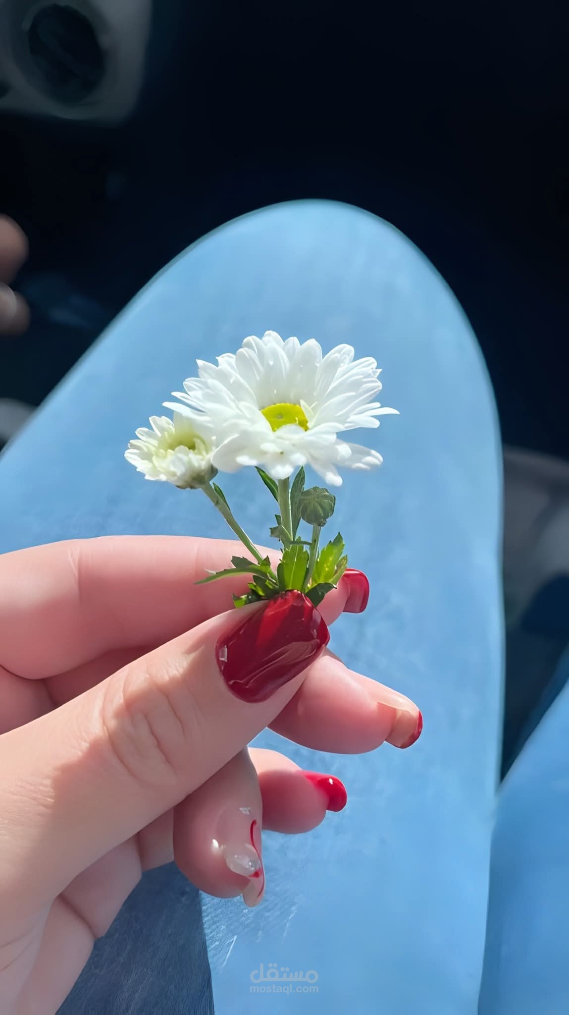تعليق صوتى