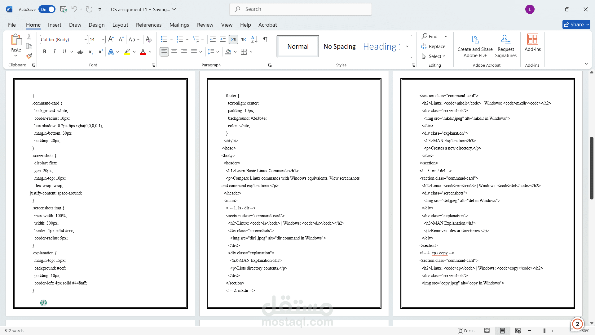 technical report for an operating systems project