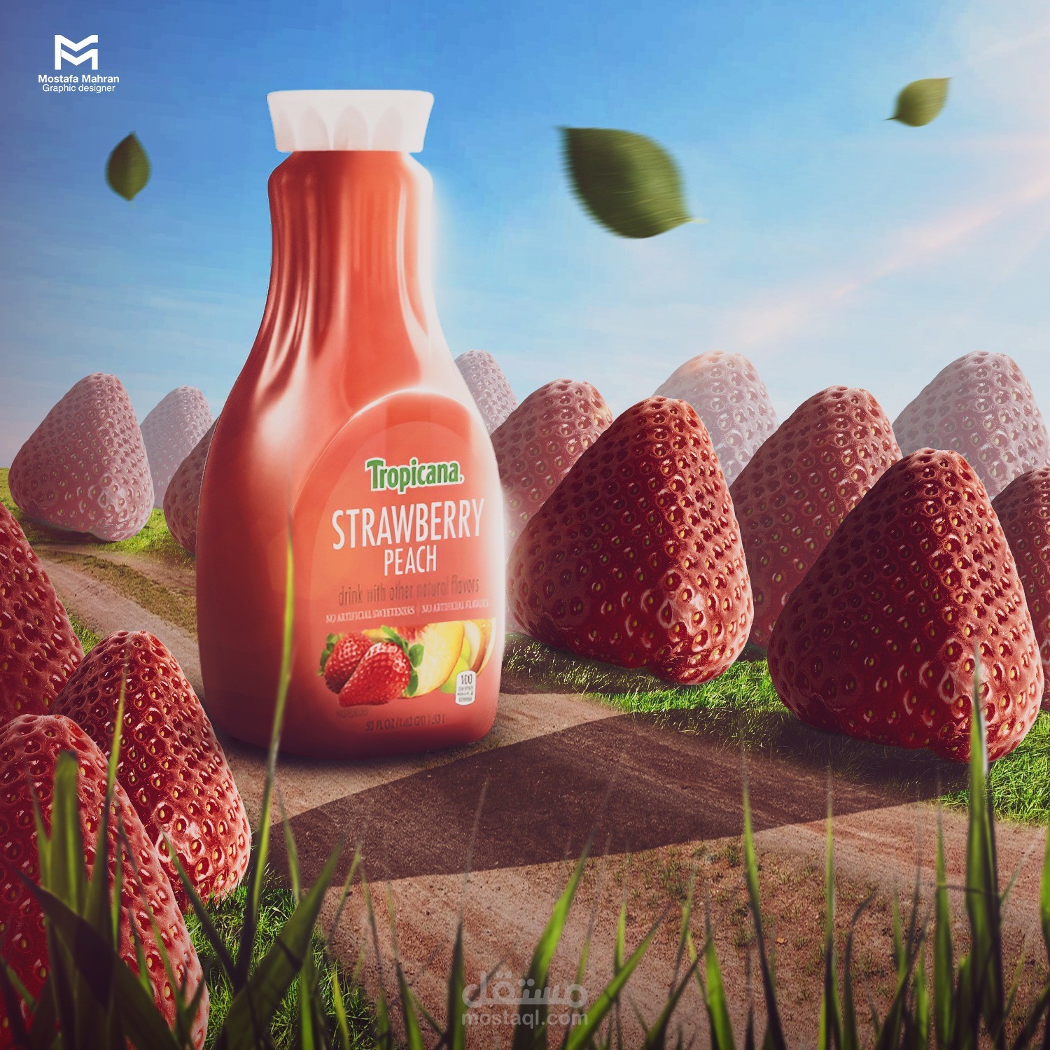 Manipulation project