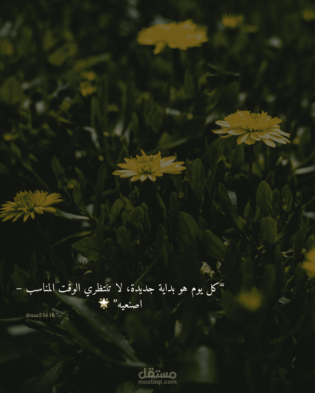 صورة تفائل