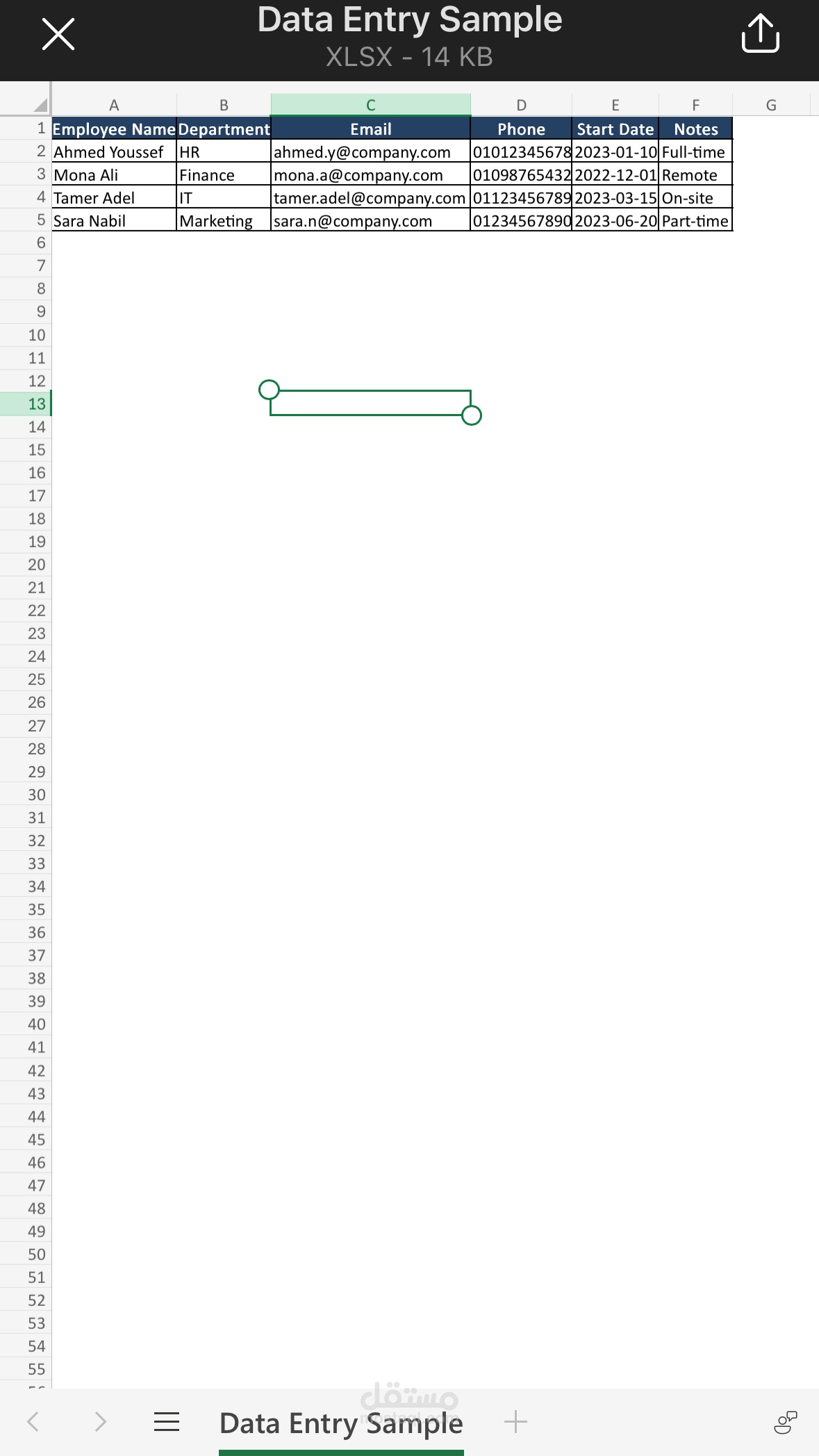 Data Entry in Excel – Arabic & English