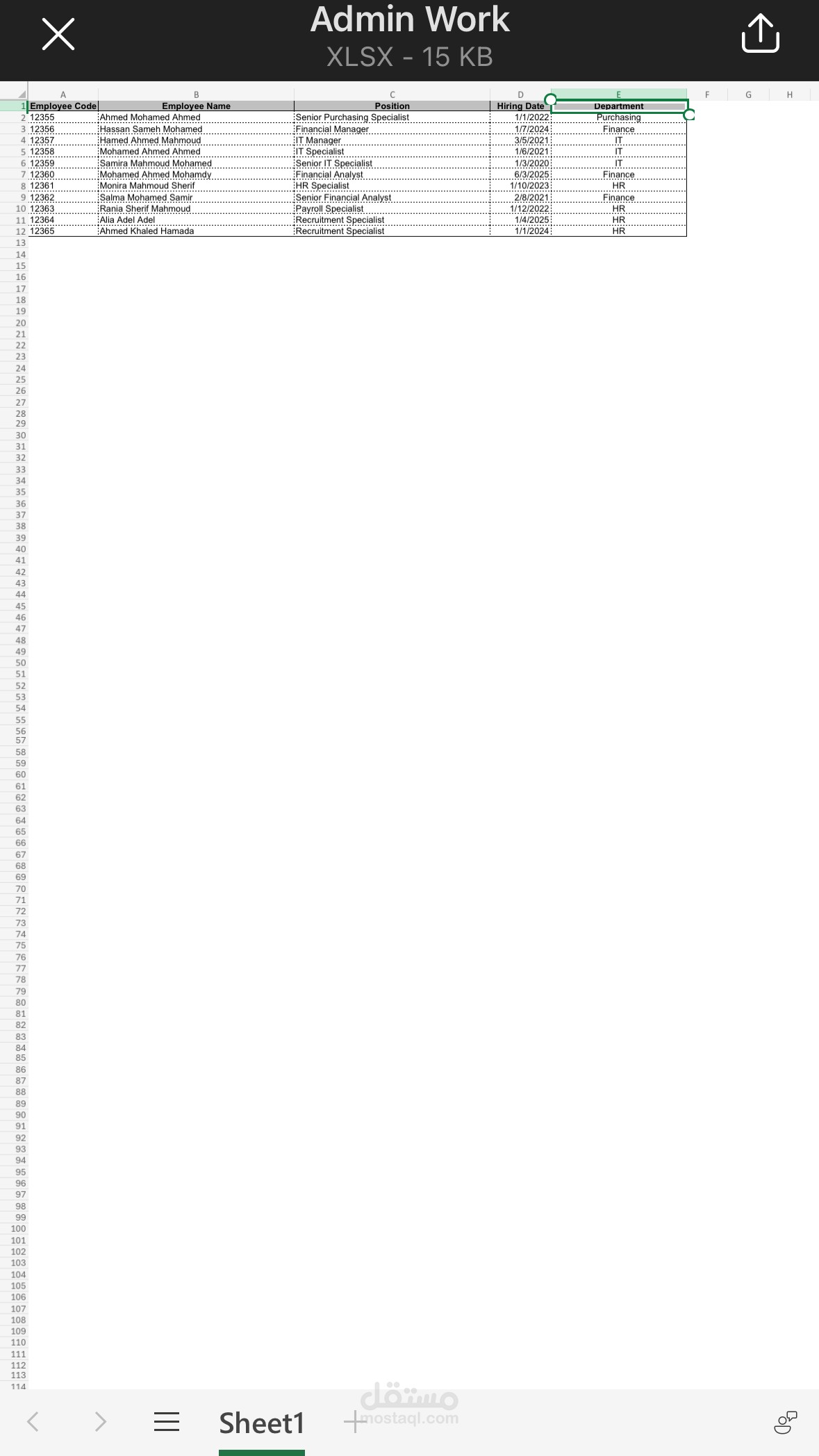 Enter data into excel