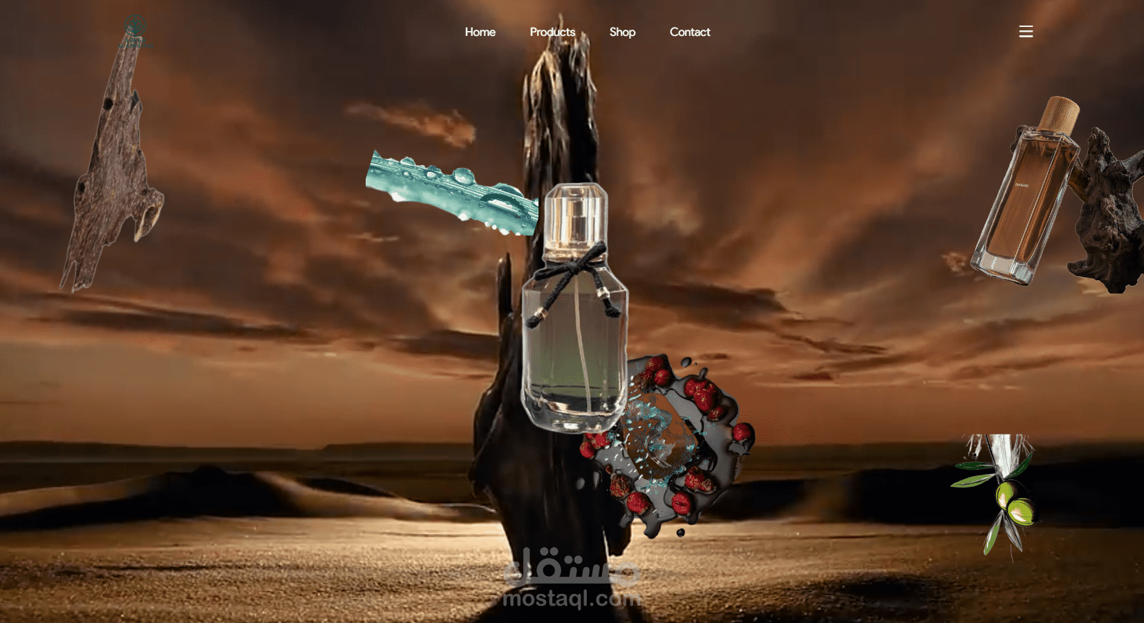 Perfumes - website