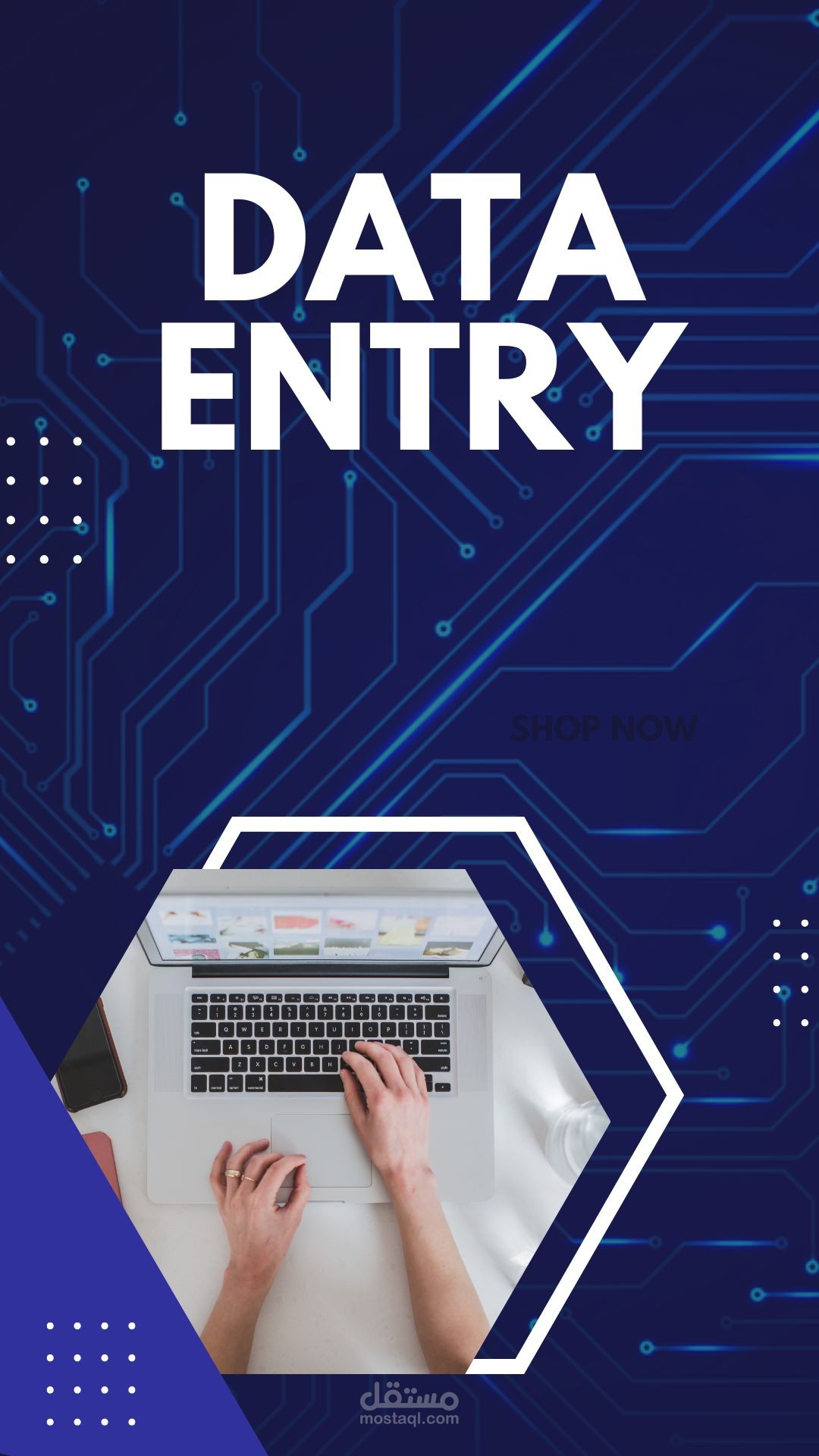إدخال البيانات دقيق  ومنظم  Data Entry