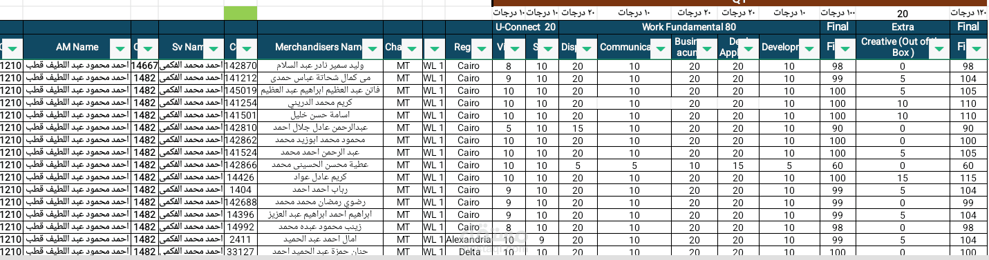 Merchandisers Evaluation